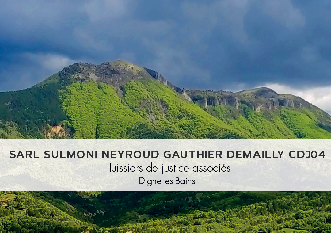 SARL SULMONI NEYROUD GAUTHIER DEMAILLY CDJ04