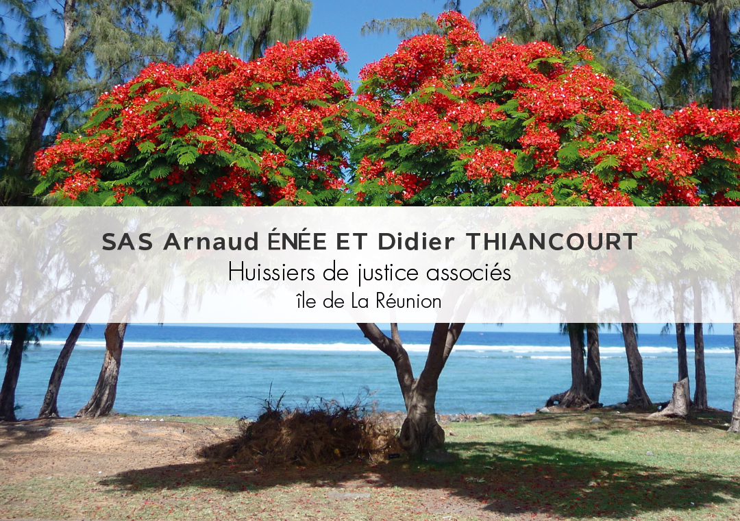 SAS ÉNÉE ET THIANCOURT