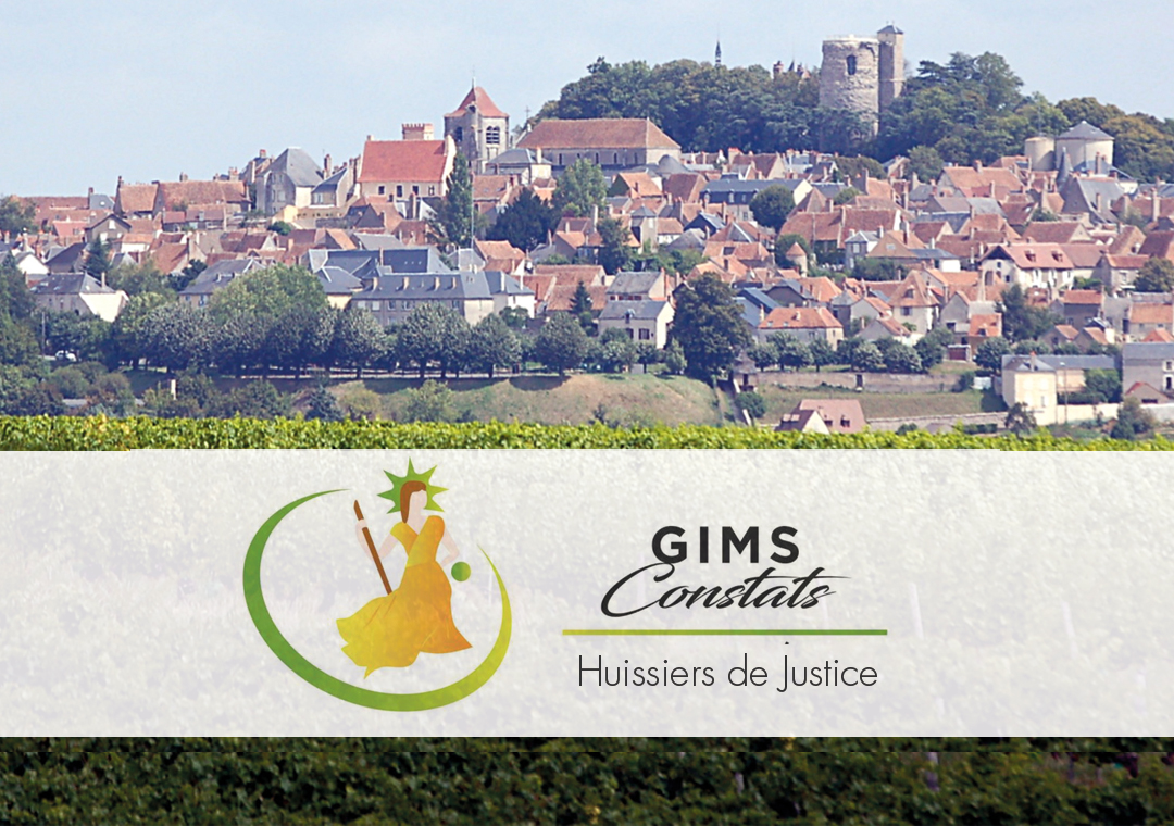 SELARL GIMS CONSTATS